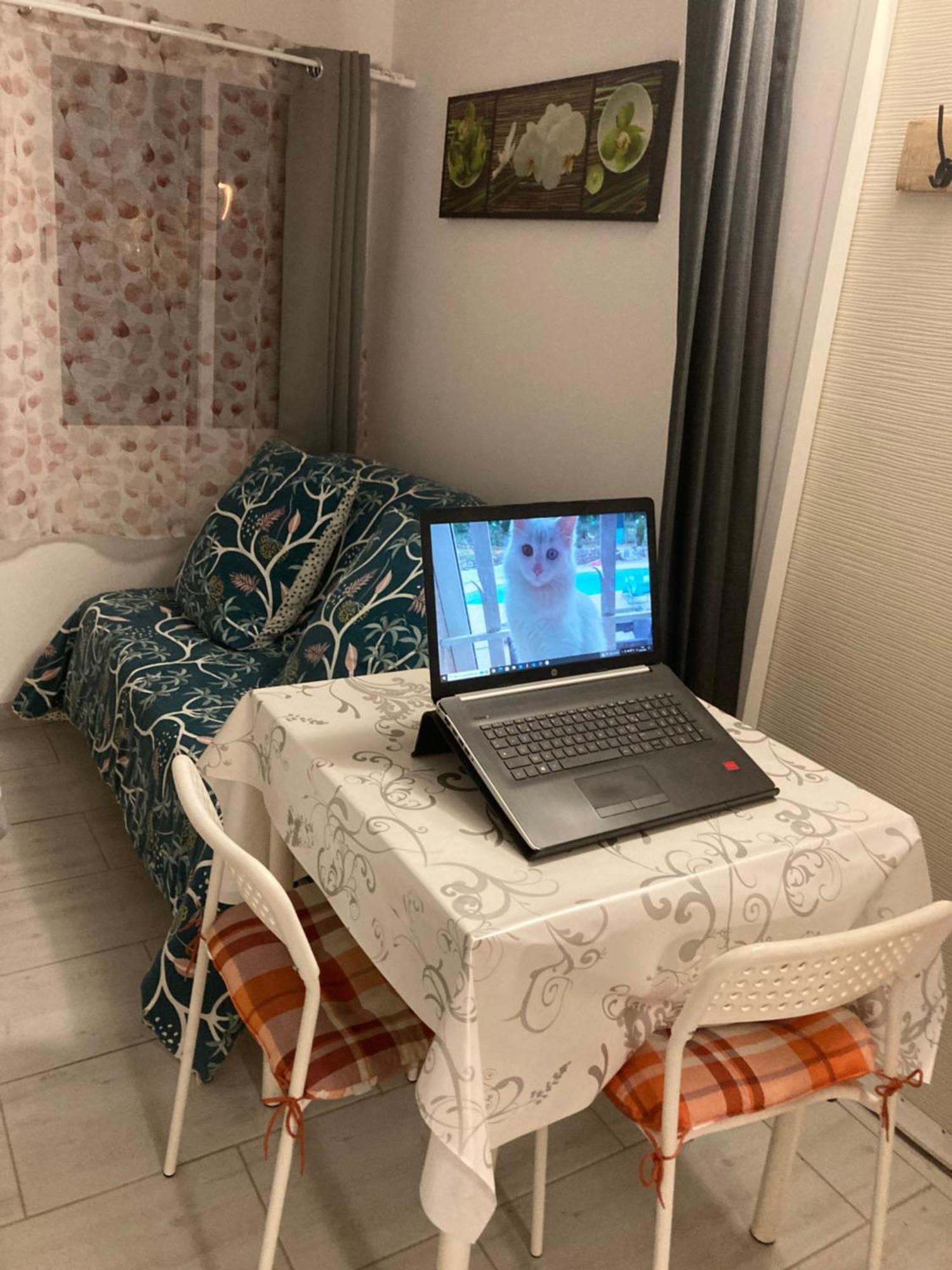 Ferienwohnung Au Havre De Paix Garéoult Exterior foto